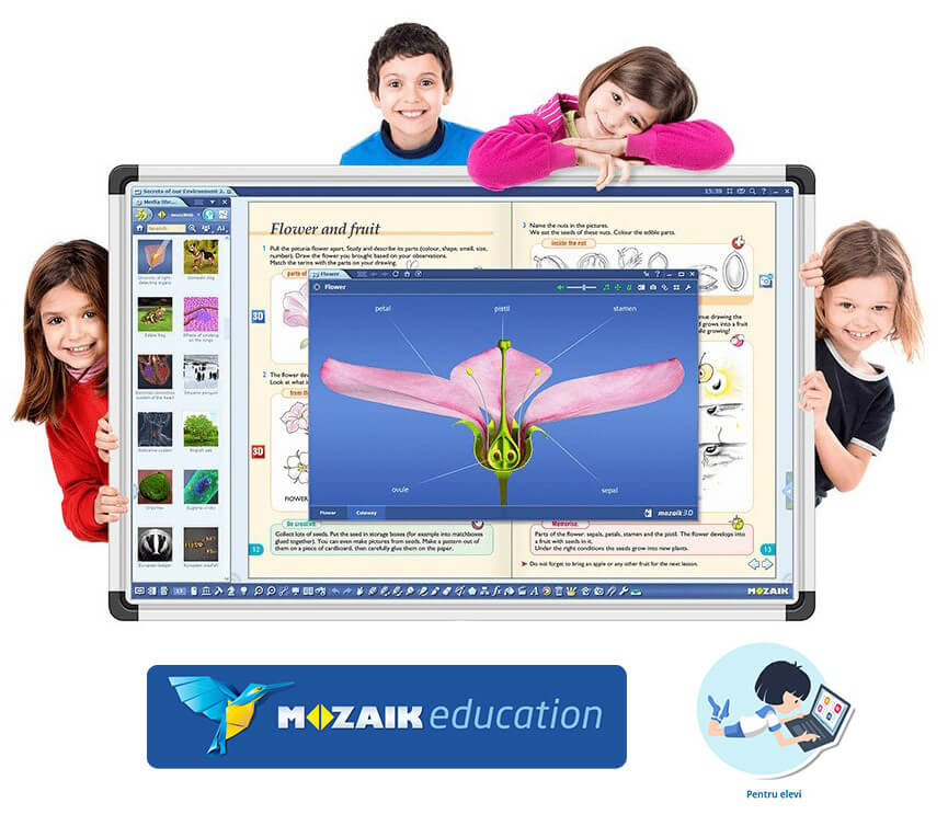 Software Mozaik Student , lectii interactive in timp real, licenta 1 / 4 ani