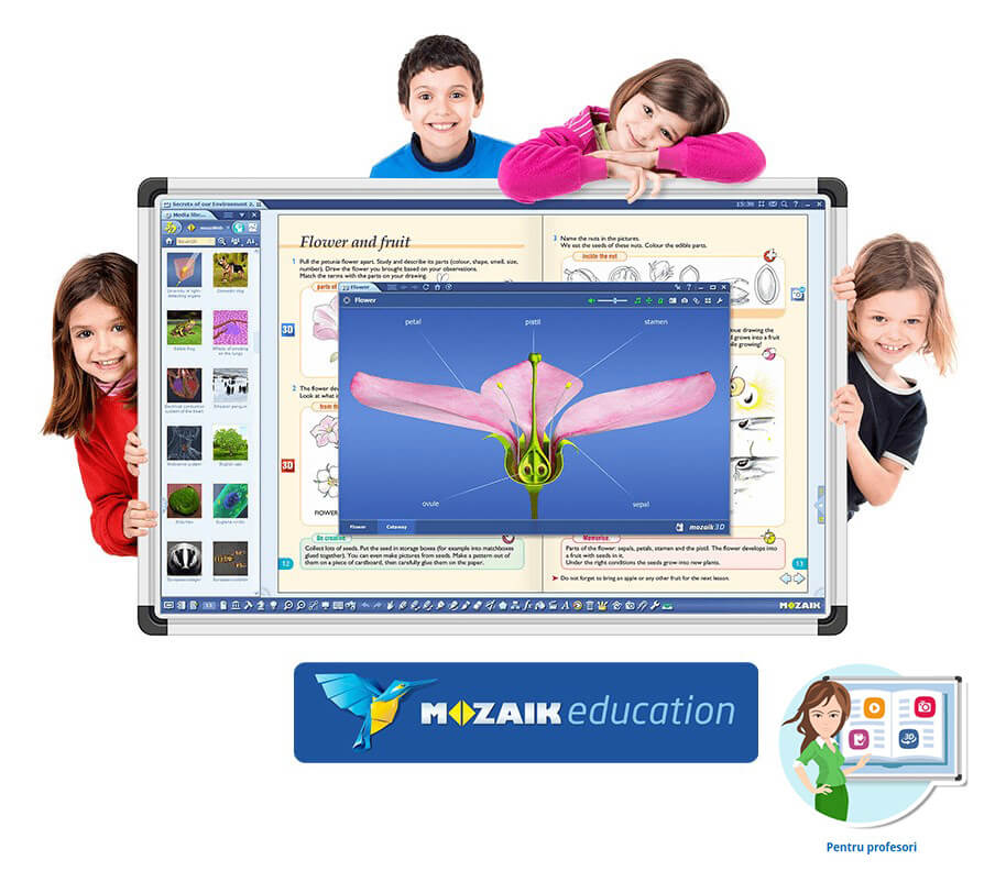 Software Mozaik Teacher MULTILANG , lectii interactive in timp real, licenta 1 / 1 ani